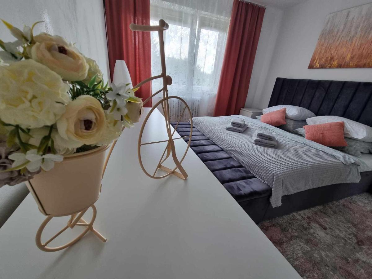 Prostorny Byt V Centru U Reky, 2 Loznice, Balkon Hradec Králové Zewnętrze zdjęcie